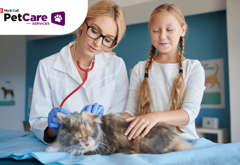 dokter hewan terdekat Pet-Care