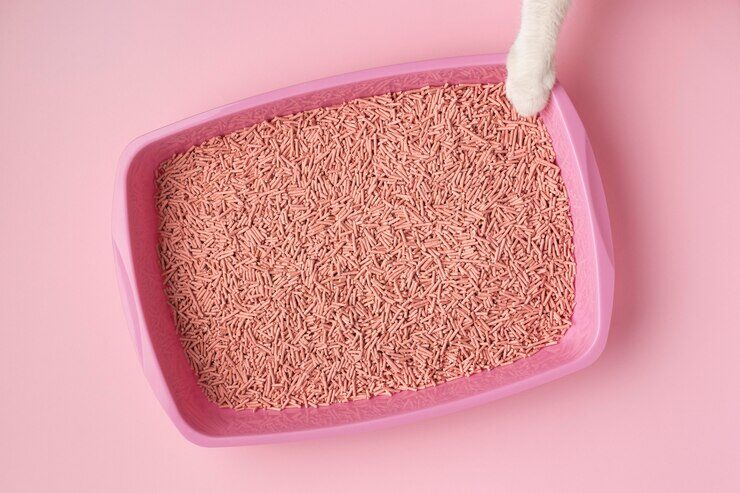 still-life-kitty-litter-arrangement_23-2148982367